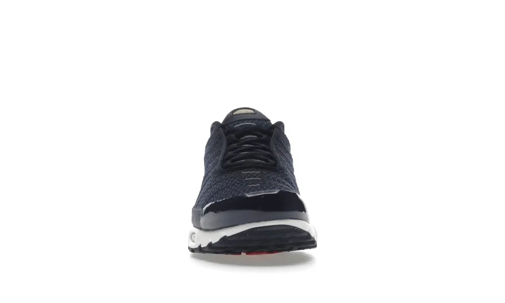 Nike Air Max Plus FFF