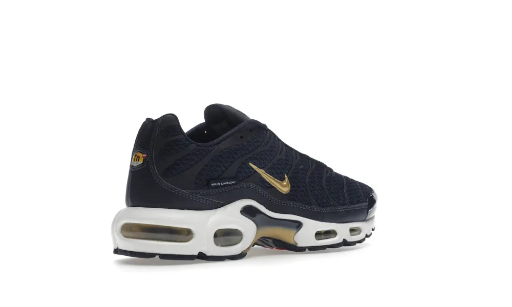 Nike Air Max Plus FFF