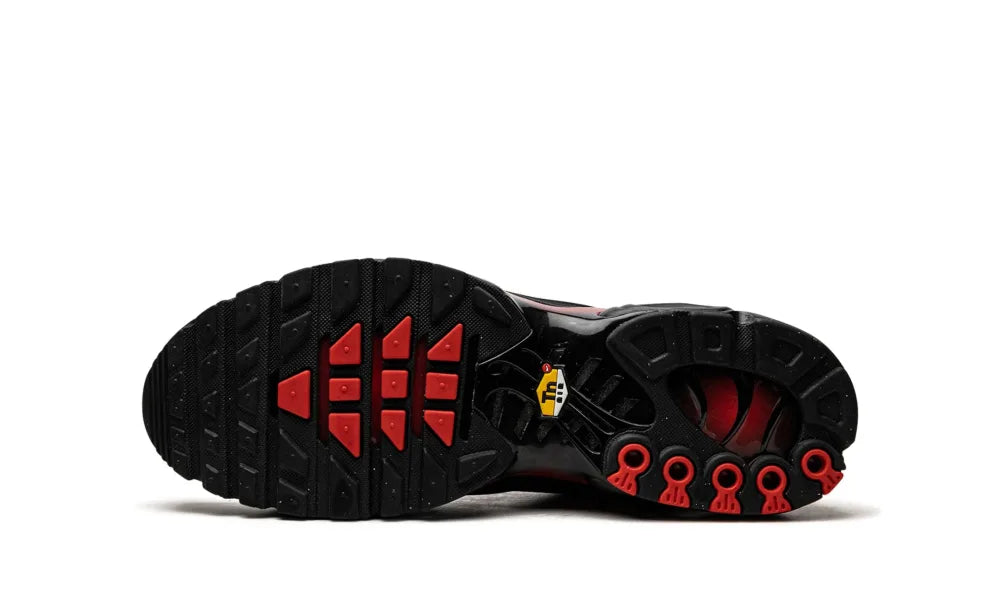 Nike Air Max Plus Bred Reflective