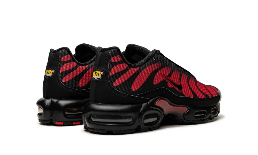 Nike Air Max Plus Bred Reflective