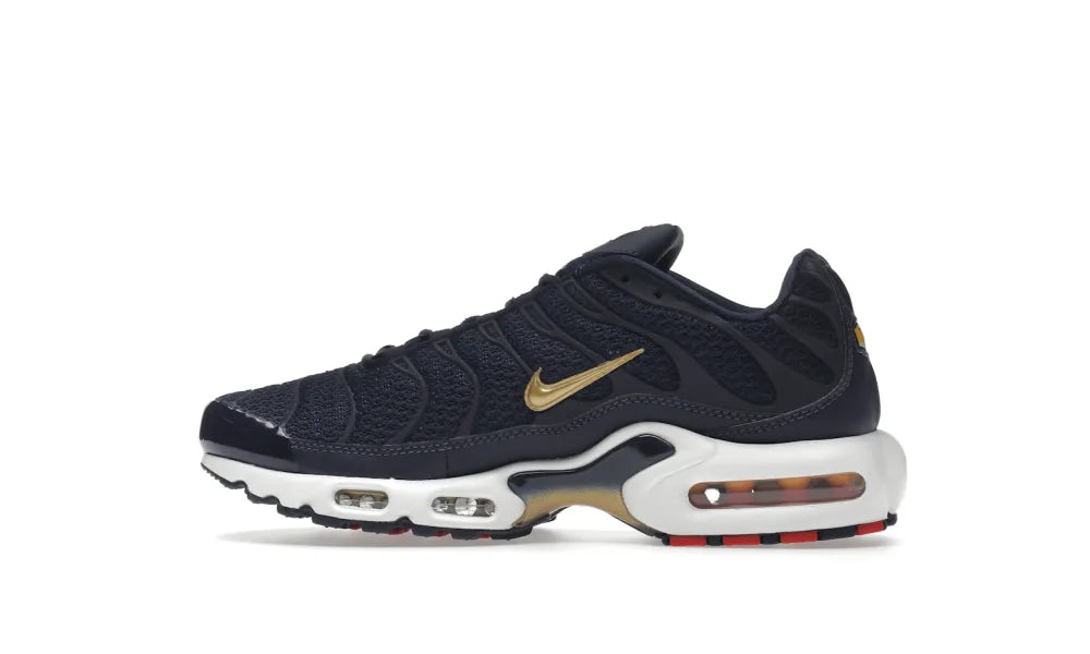 Nike Air Max Plus FFF