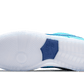 Nike SB Dunk Low Pro Blue Fury