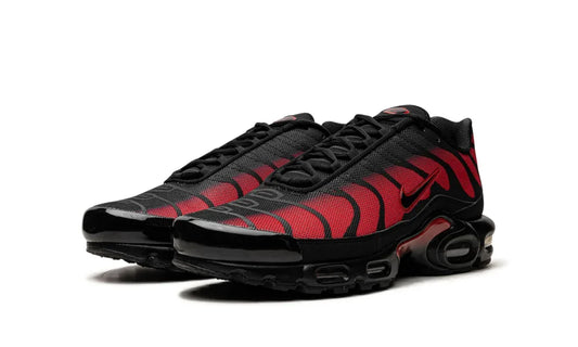 Nike Air Max Plus Bred Reflective