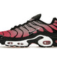 Nike Air Max Plus All Day