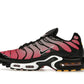 Nike Air Max Plus All Day