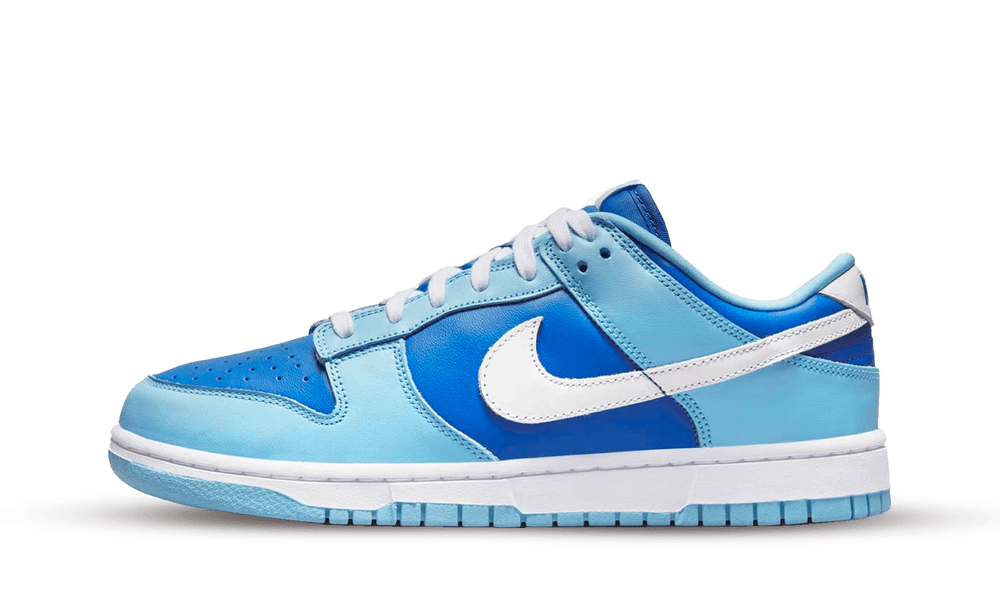 Nike Dunk Low Retro Argon