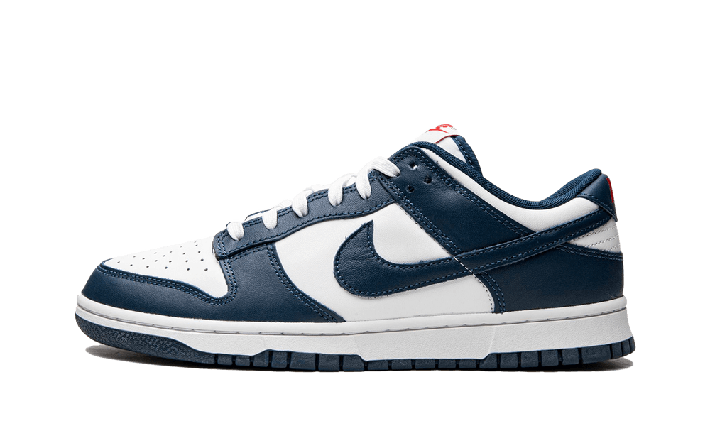 Nike Dunk Low Valerian Blue