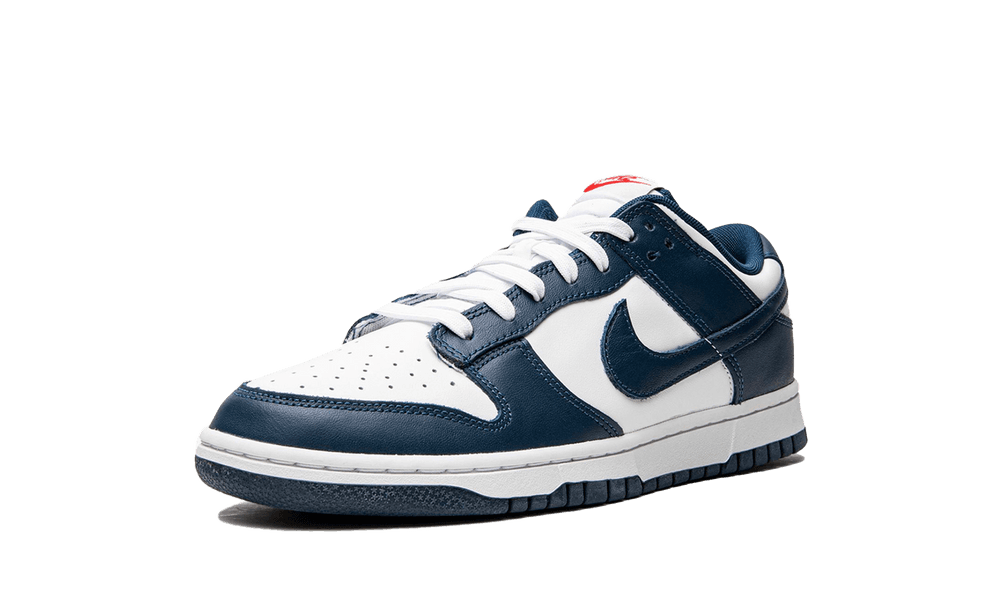 Nike Dunk Low Valerian Blue